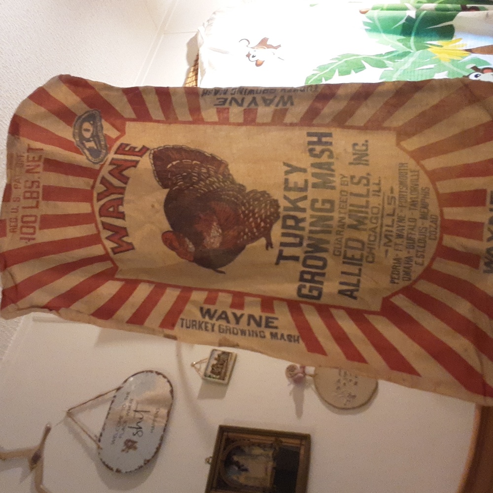 WAYNE'S TURKEY GROWING MASH SACK